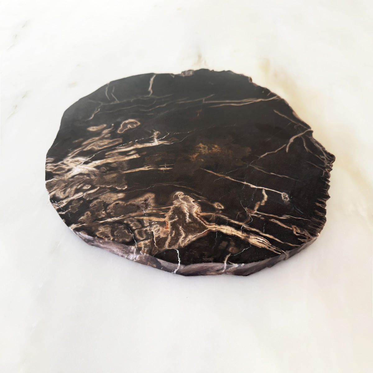 Petrified Wood Charcuterie Board-12"
