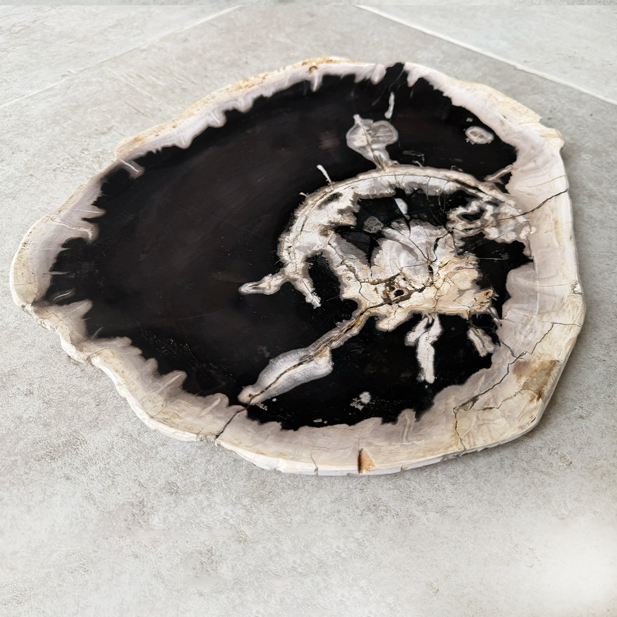 Petrified Wood Platter