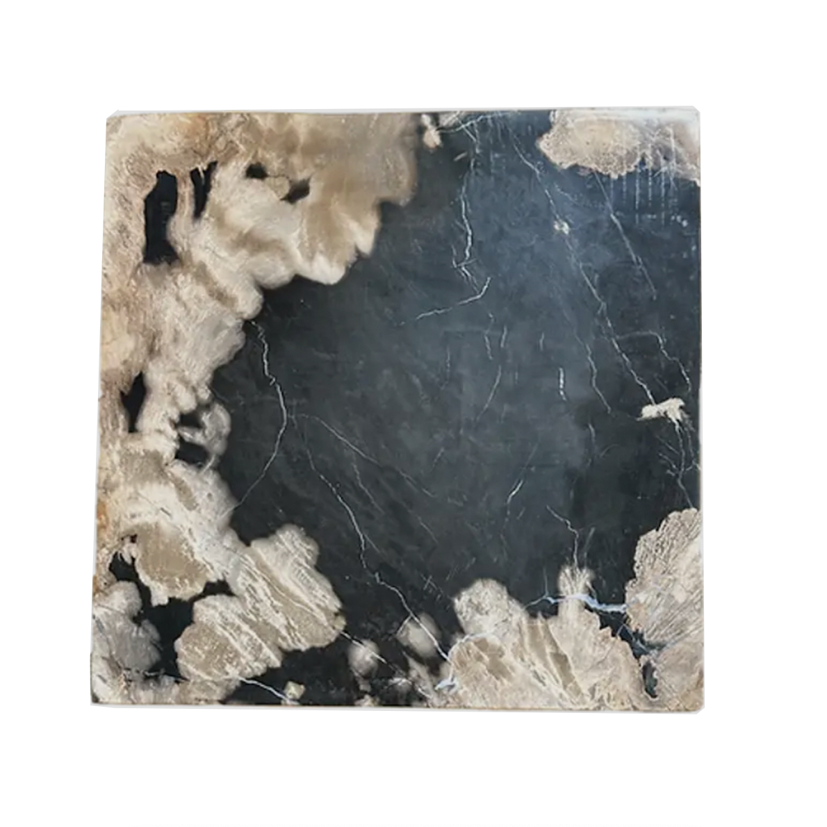 Petrified Wood Charcuterie Board-12"