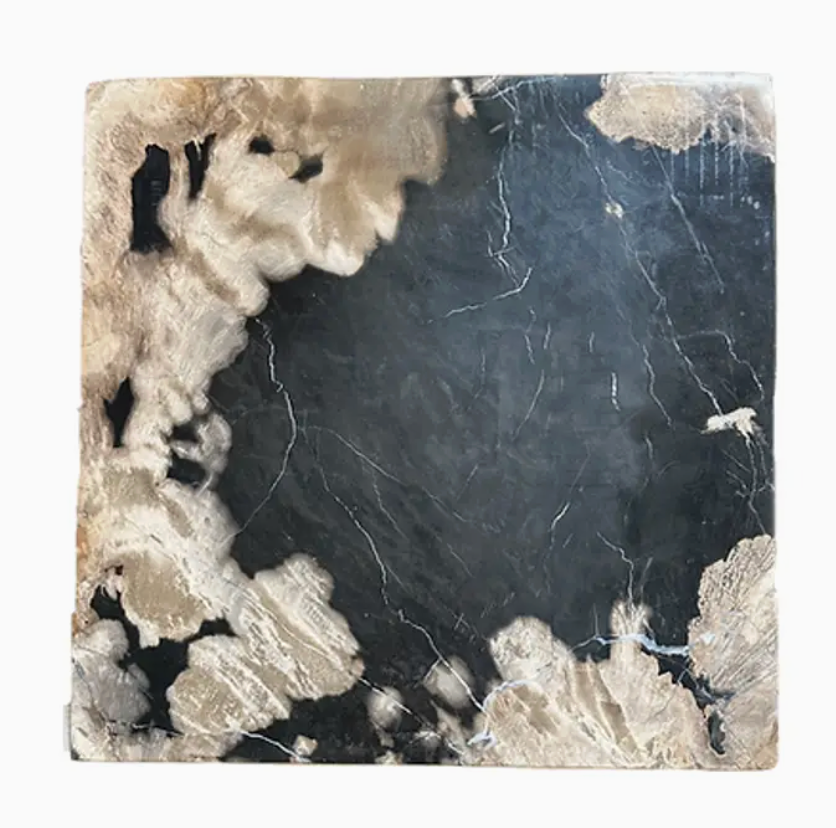 Square Petrified Wood Charcuterie Board-12"