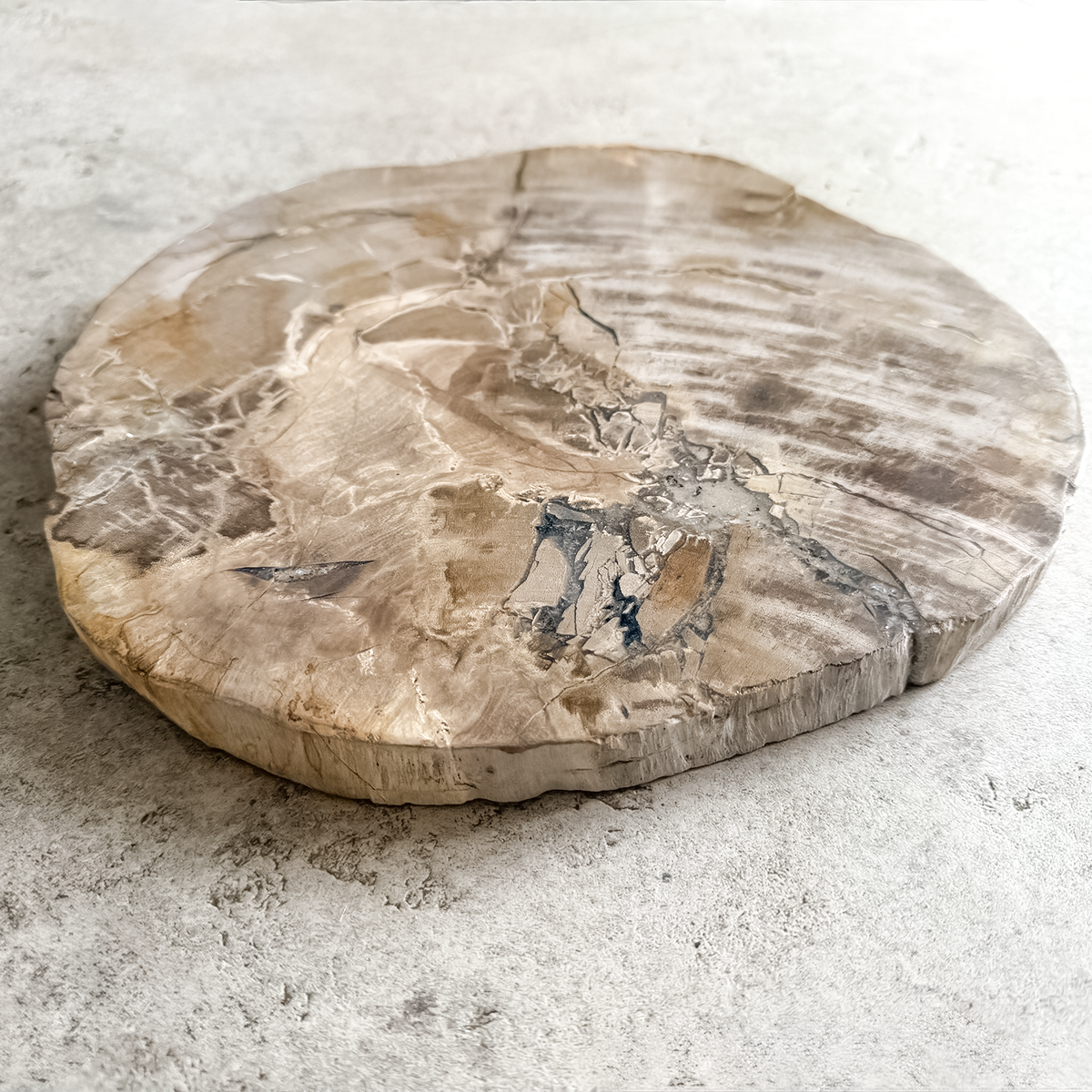 Petrified Wood Charcuterie Board-12"