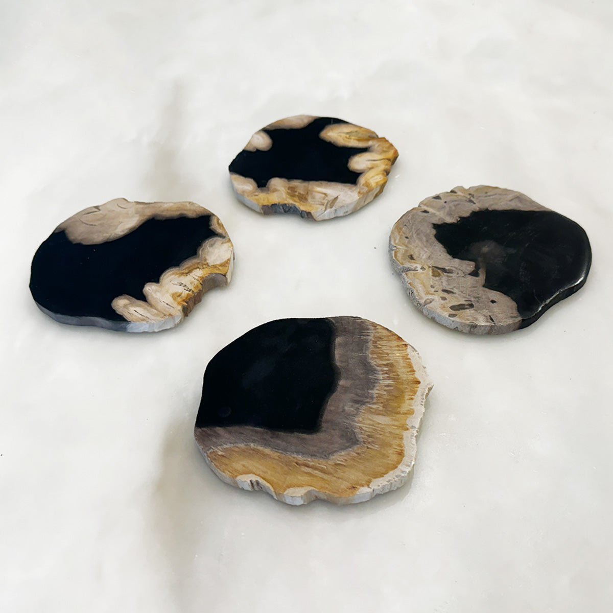 Set Of Four Petrified Wood Coasters